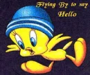 tweety bird