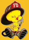 tweety bird