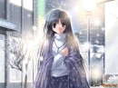 animes 