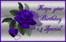 Hope your Birthday is special