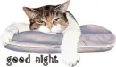good nite