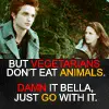 Twilight