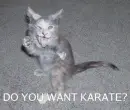 do u want to.....