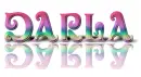 darcy rainbow