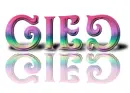 gied rainbow