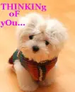 thinking of u