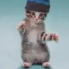 Dancing Cat