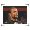 triple h