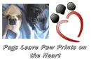 pugs