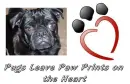 puggy