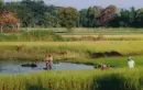 Farmers