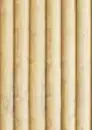 Bamboo
