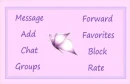 Butterfly Contact Table