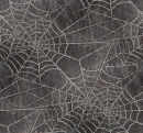 Spider web