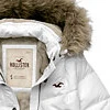 Hollister