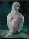 dove