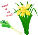 Daffodil & Leek