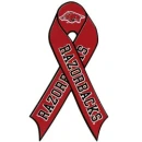 Arkansas Razorbacks Football