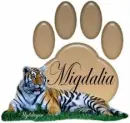 Tiger with Paw - Migdalia