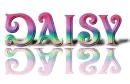 daisy rainbow