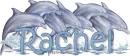 dolphins with name Rachel