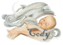 dolphins with baby  name cody