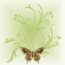 Batterfly