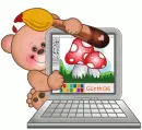 teddy