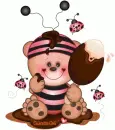 teddy