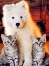 Three Amigos ;)