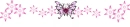Pink Butterfly Divider