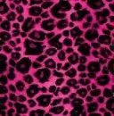 pink leopard
