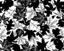 black fall