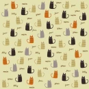 meow cat