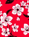 blossoms
