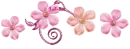 Pink flowers