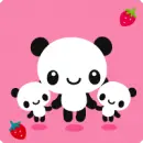 panda