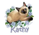 siamese kitty with name Kathy