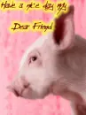Greetings