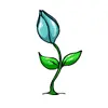 Opening Flower