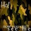 ha cant see me