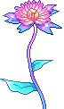 sea flower