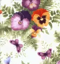 Pansies
