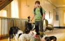 hotel for dogs