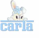 rabbit-Carla