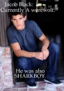 Taylor Lautner