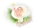 baby in flower