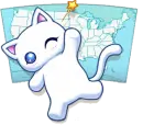 kitty