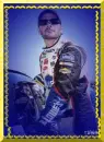 jimmie johnson