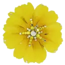 transparent flower